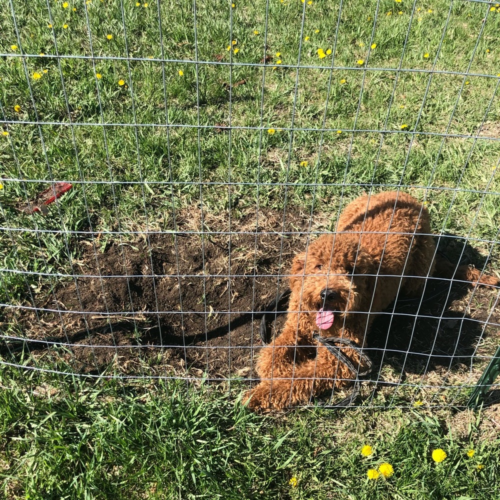 Meet your Posher, Luisa